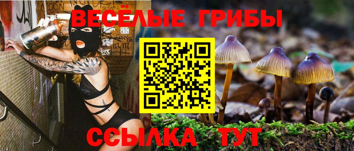 Каменка  Псилоцибиновые грибы Psilocybine cubensis  Вход с VPN 